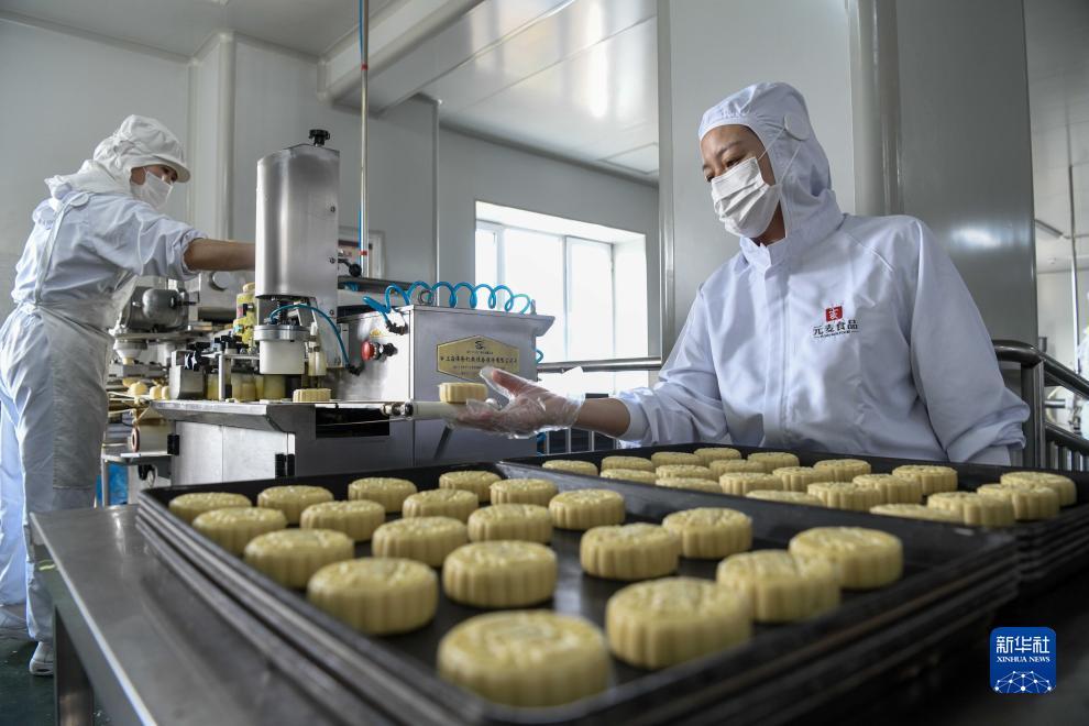 大奖网官网登录